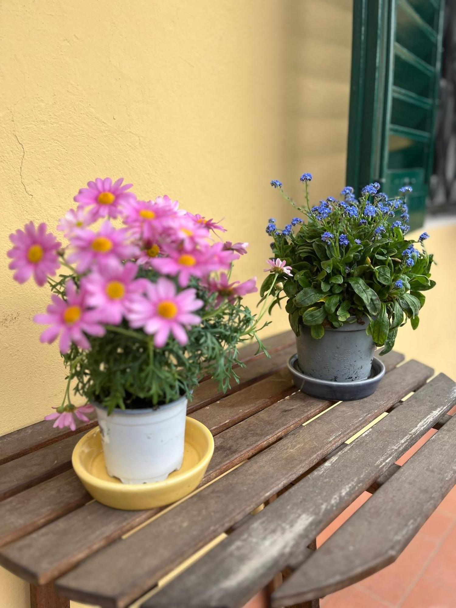 Albero Mago Hotel Florence Exterior photo
